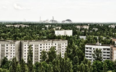 Die Natur im Einklang mit sich. Vorbildliche Renaturierung in Tschernobyl.